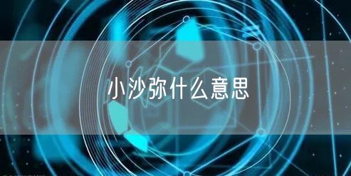 小沙弥什么意思 小沙弥什么意思