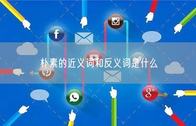 朴素的近义词和反义词是什么