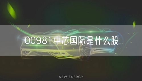00981中芯国际是什么股 00981中芯国际是什么股