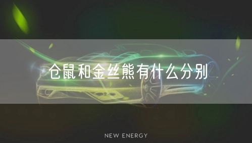 仓鼠和金丝熊有什么分别
