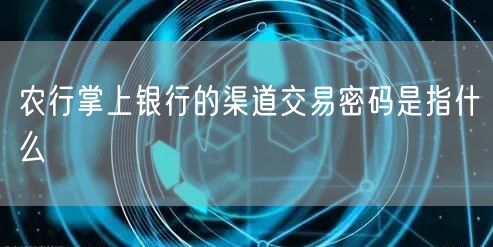 农行掌上银行的渠道交易密码是指什么