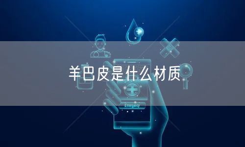 羊巴皮是什么材质