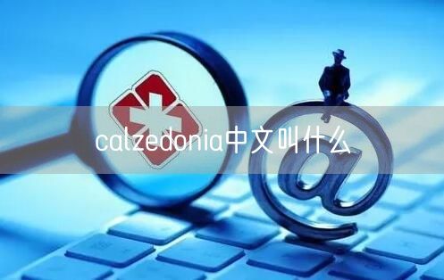 calzedonia中文叫什么