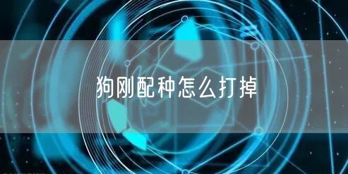 狗刚配种怎么打掉 狗刚配种怎么打掉