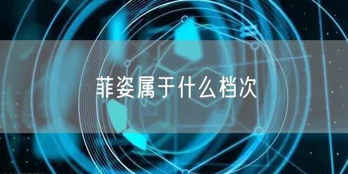 菲姿属于什么档次