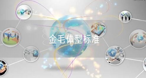 金毛体型标准